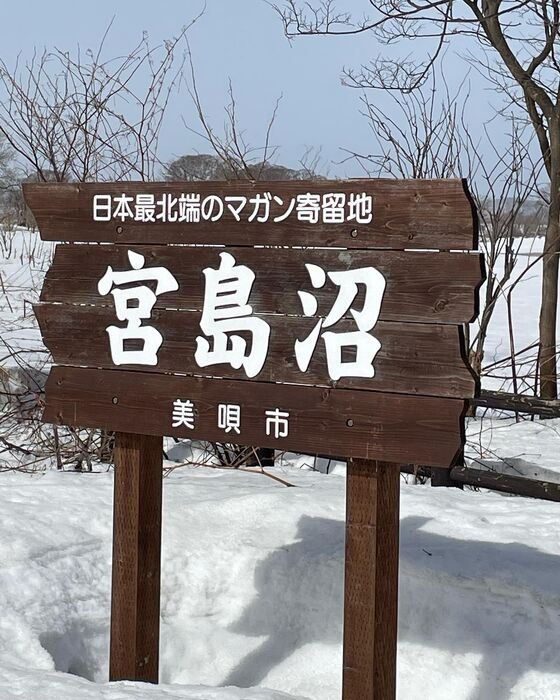 画像2819