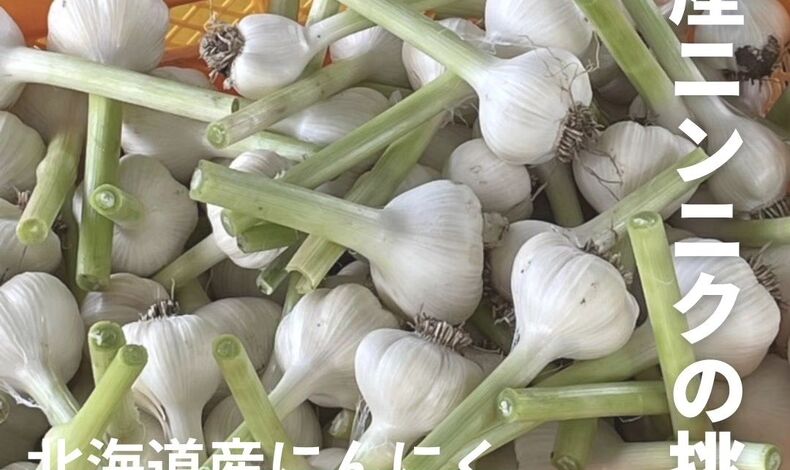 画像3326