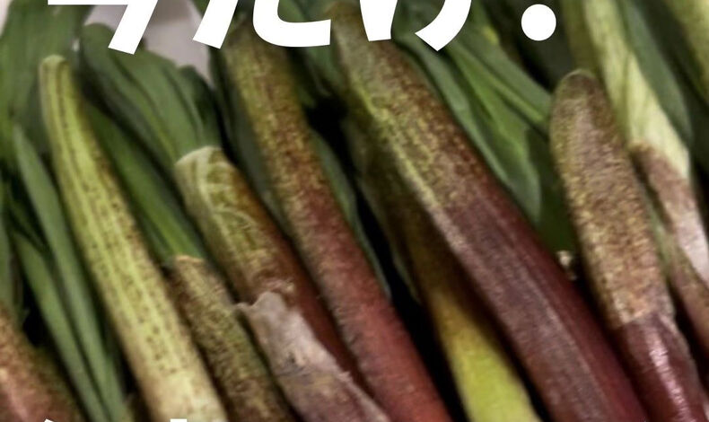 画像3837