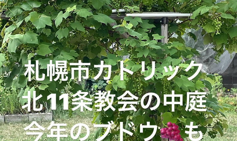 画像4337