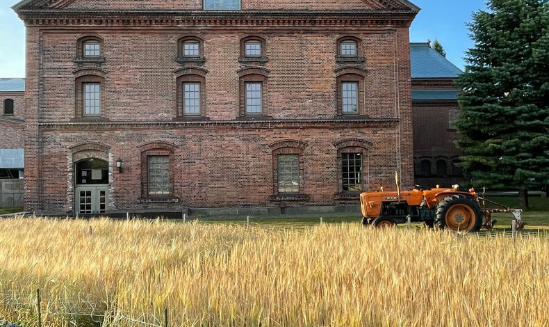 画像4361