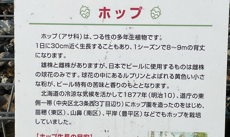 画像4377