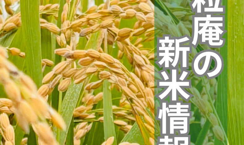 画像4602