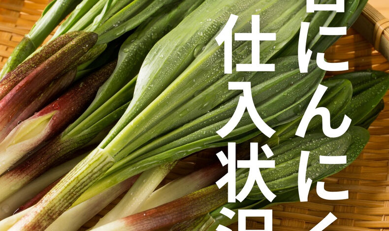 画像4721