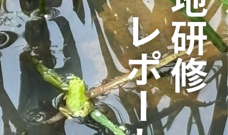 画像4877